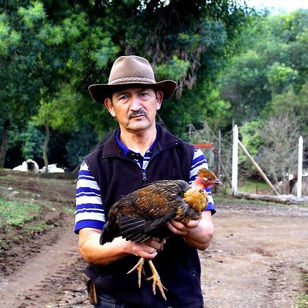 Cabanas Huilipan Gonzalez Nueva Imperial Dış mekan fotoğraf