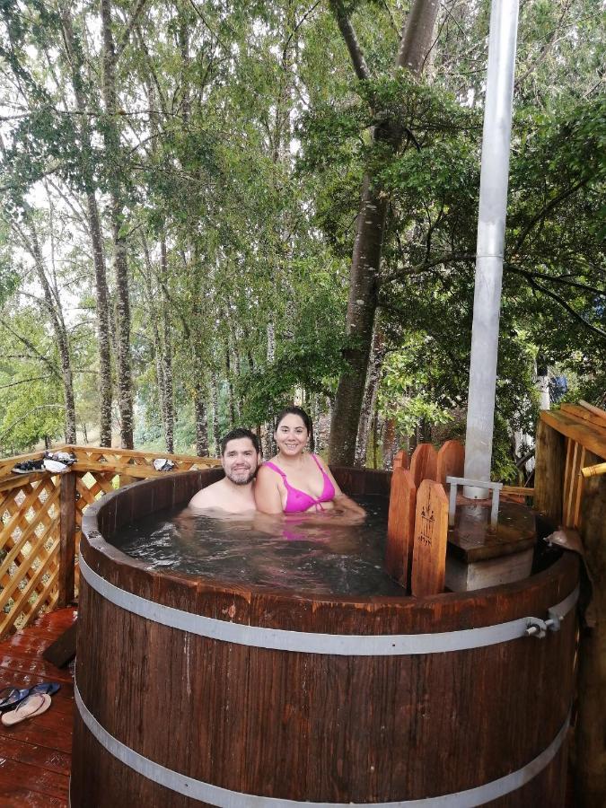 Cabanas Huilipan Gonzalez Nueva Imperial Dış mekan fotoğraf
