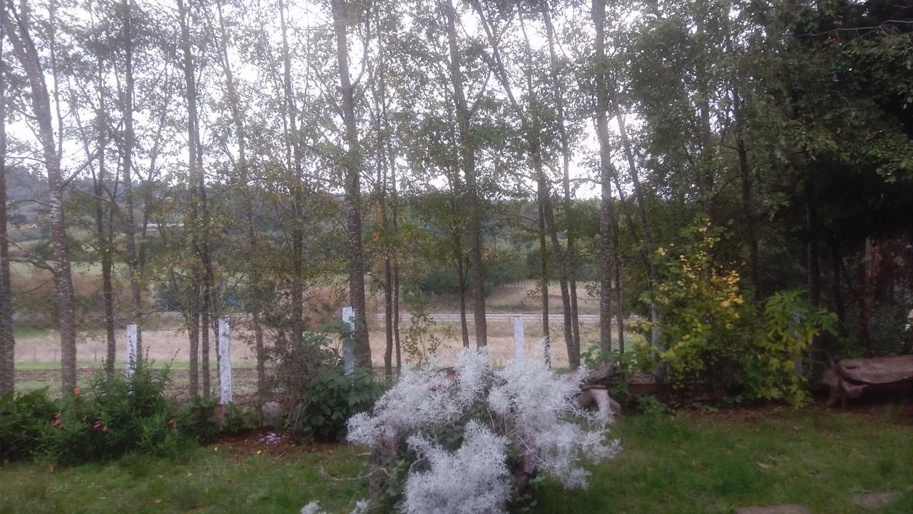 Cabanas Huilipan Gonzalez Nueva Imperial Dış mekan fotoğraf